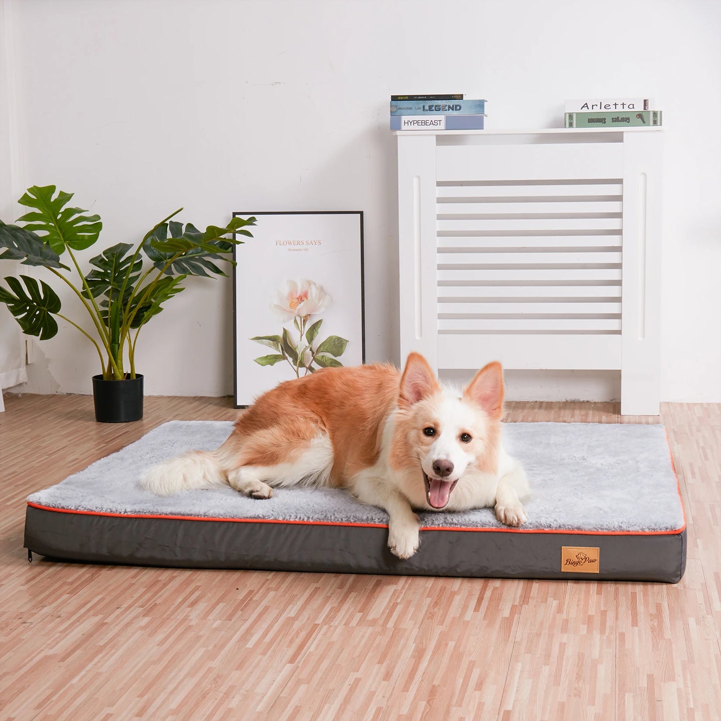 Orthopedic Dog Bed Memory Foam Waterproof with Removable Washable Cover Joint Relief