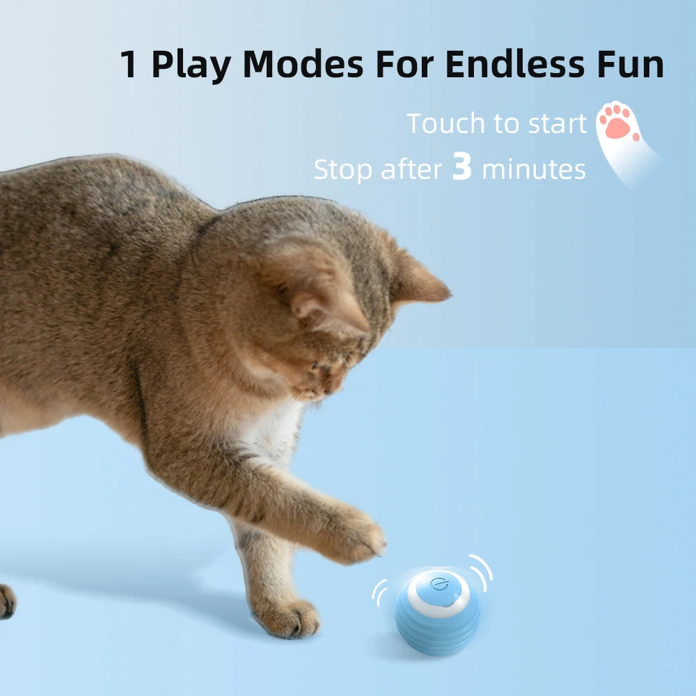 Interactive cat Ball, Smart Electronic Indoor Automatic Rolling Magic Ball