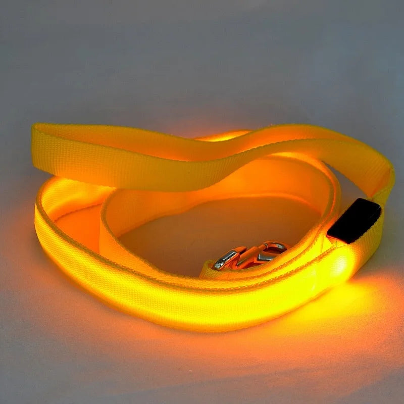 LED Light Up Dog Leash Luminous Rope Safety Flashing Glowing