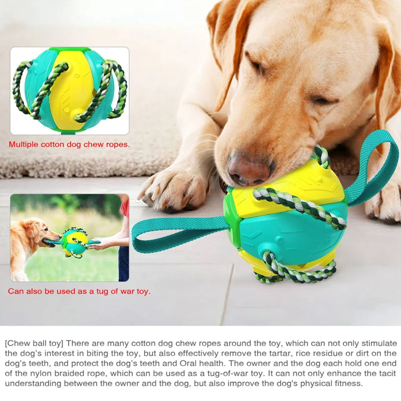 UFO Magic Ball 2in1 Multifunctional Tranining Outdoor Interactive Dog Toy