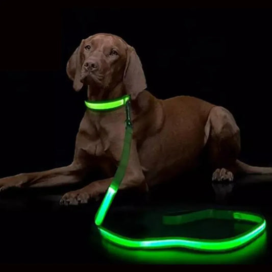 LED Light Up Dog Leash Luminous Rope Safety Flashing Glowing