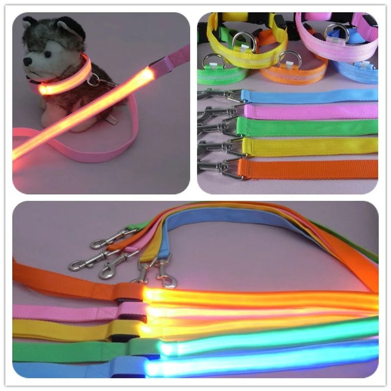 LED Light Up Dog Leash Luminous Rope Safety Flashing Glowing