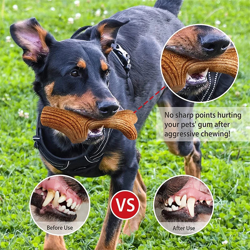 Real Wooden Deer Antlers Dog Chew Toys for Aggressive Chewers