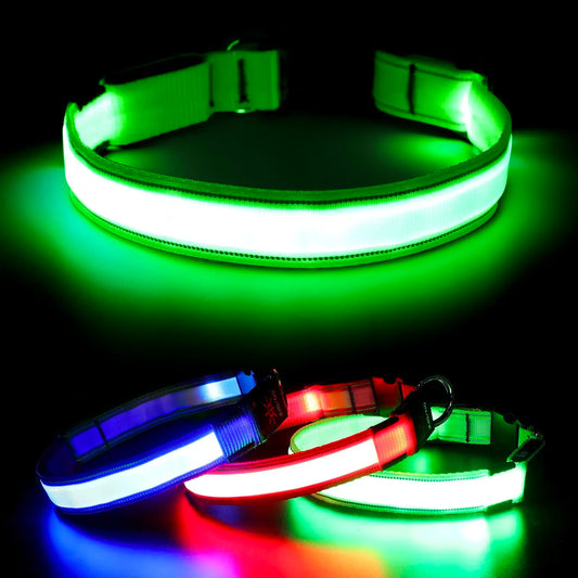 XS/M LED Dog Collar USB Rechargeable Light Up