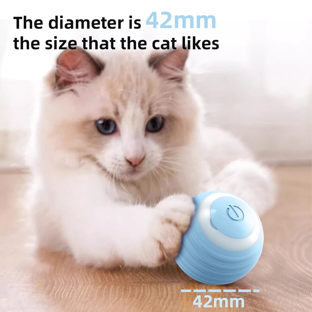 Interactive cat Ball, Smart Electronic Indoor Automatic Rolling Magic Ball