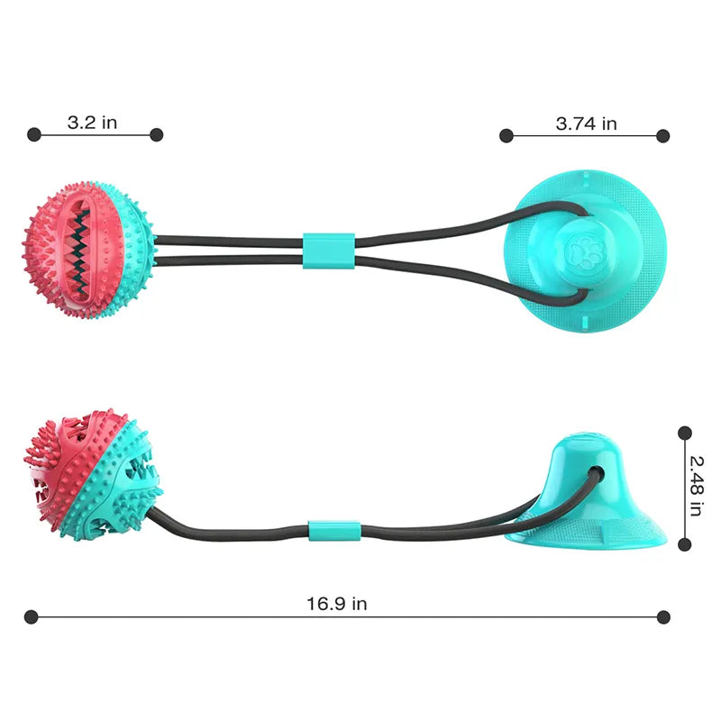 Ball  Suction Cup Ropes Interactive