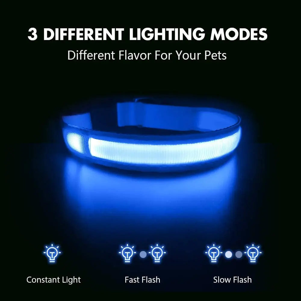 XS/M LED Dog Collar USB Rechargeable Light Up