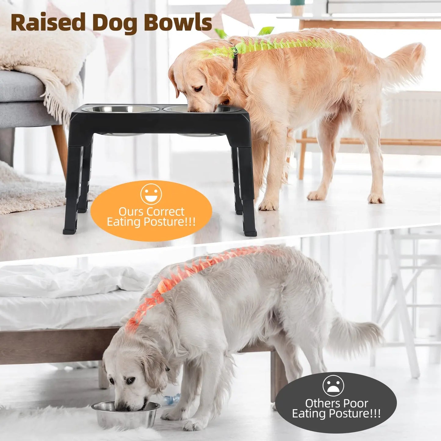 Elevated Dog Feeder Dogs Bowls Adjustable Raised Stand with Double Stainless Steel